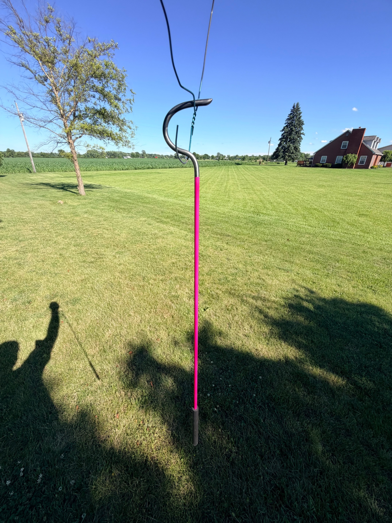 Snake hook in the field